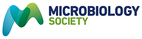 Changes in the gut microbiota in mice exposed to chronic intermittent hypoxia