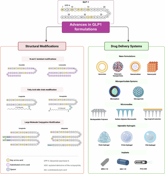Designing GLP-1 delivery: structural perspectives and formulation approaches for optimized therapy