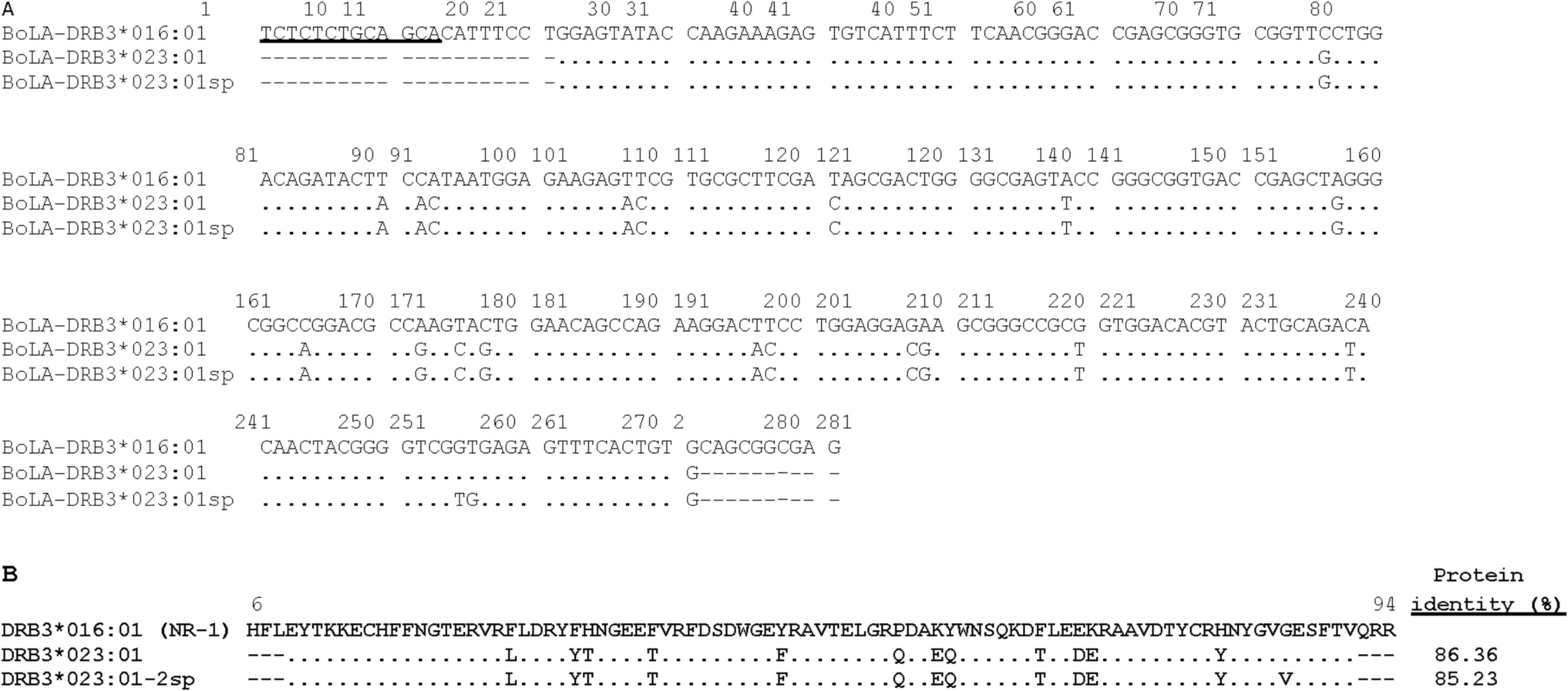 Genetic diversity of  in Latin American Creole cattle: an update of the state of the art