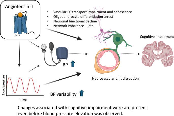 Hypertension acts as a silent killer for dementia even before it shows its face