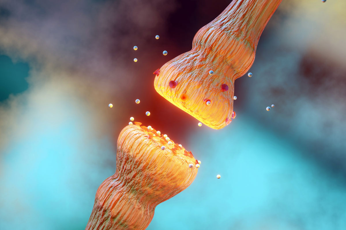 Serotonin Syndrome With Quetiapine, Rizatriptan, Gabapentin, and Propranolol