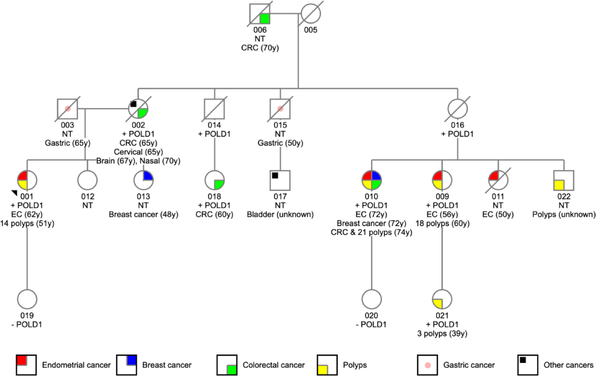 The germline  c.1420 C > A (p.Leu474Ile) variant segregates with endometrial cancer, colorectal cancer and colonic polyps demonstrating hypermutation and defective  mutational signatures