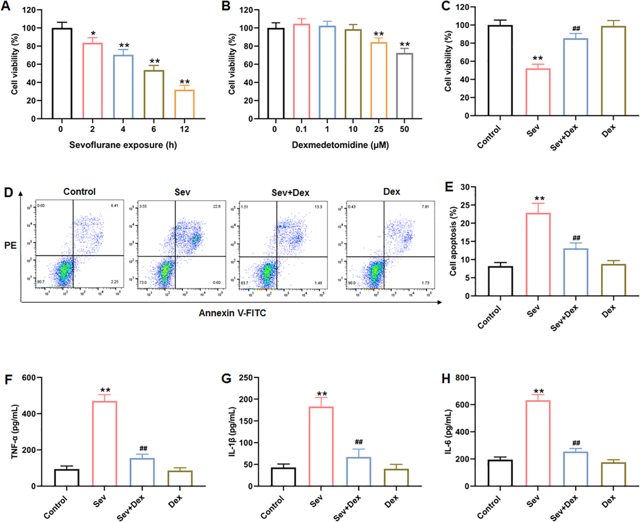 Dexmedetomidine protects against postoperative neurocognitive disorder by mitigating mitochondrial dysfunction through regulating the IP3R-GRP75-VDAC1 complex-mediated calcium transport