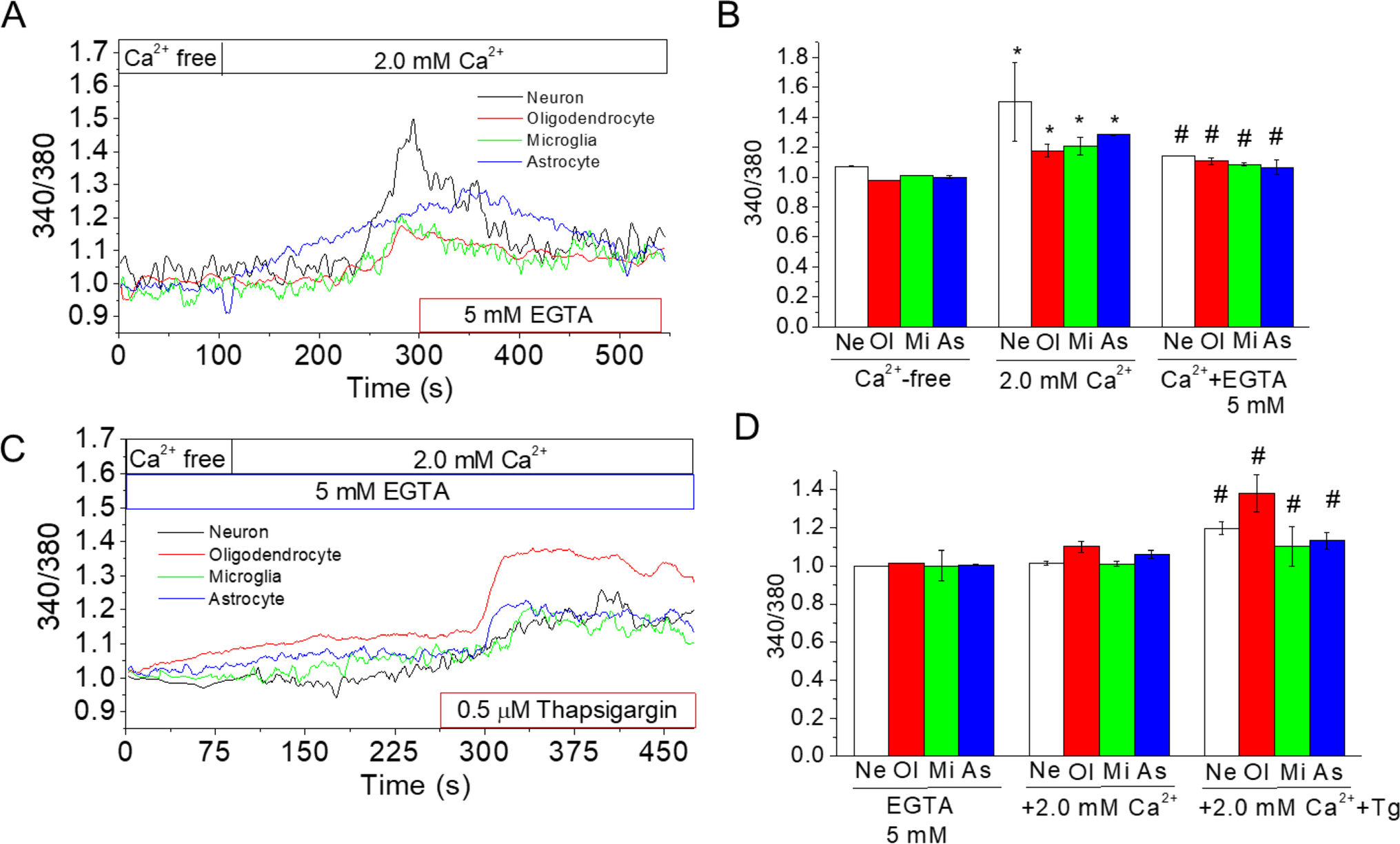 Activation of Ca-sensing receptor exhibited differential response between neurons and glial cells