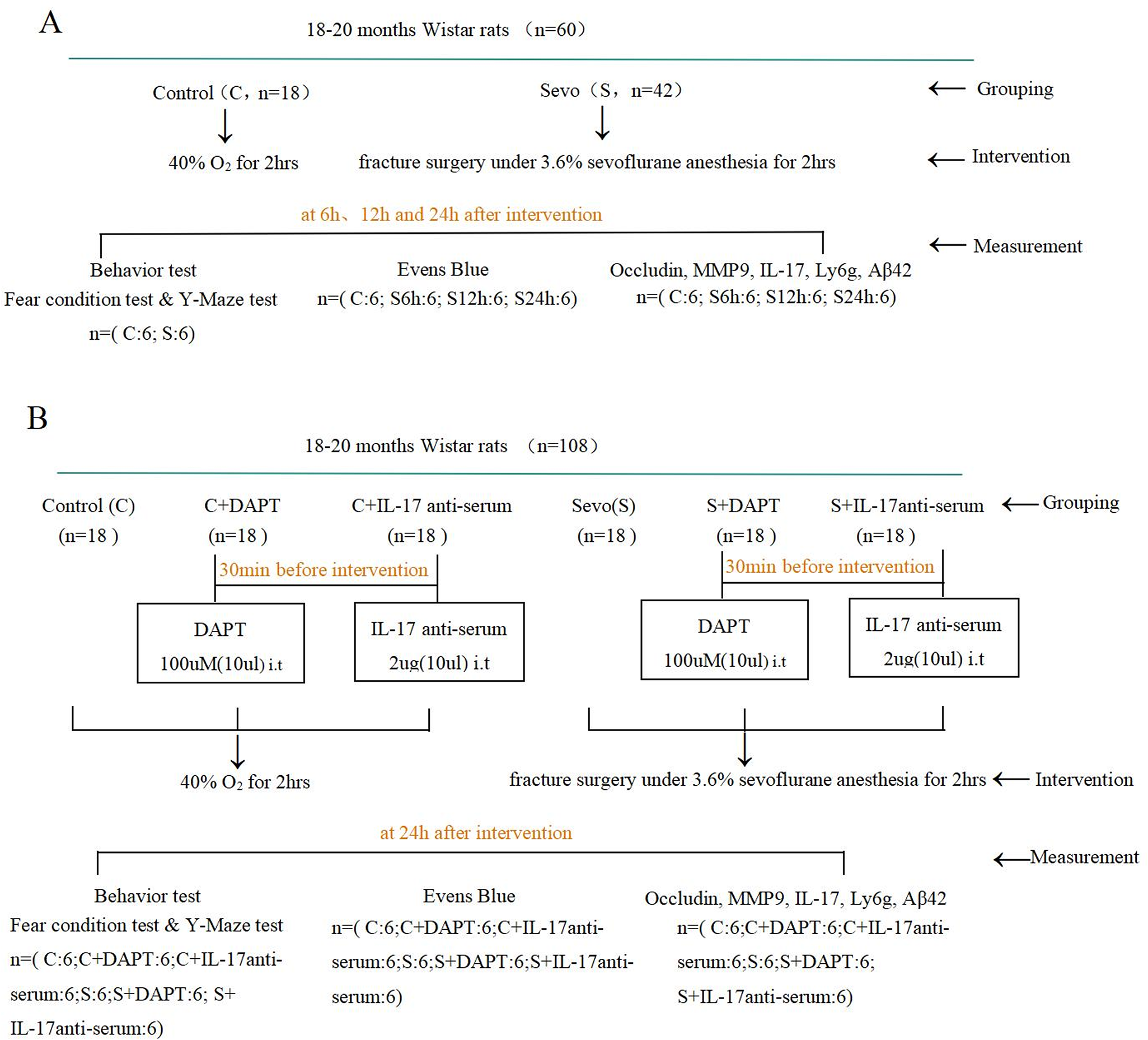 Increasing interleukin-17 induced by β-Amyloid deposition is involved in early cognitive decline after sevoflurane anesthesia
