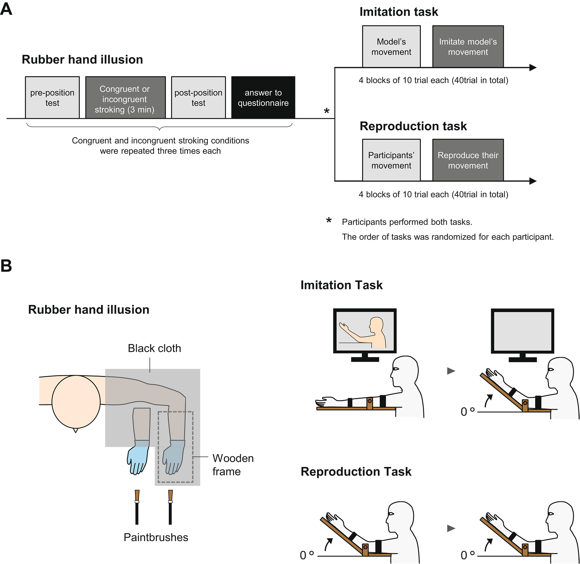 Associations between susceptibility to the rubber hand illusion and action reproduction accuracy