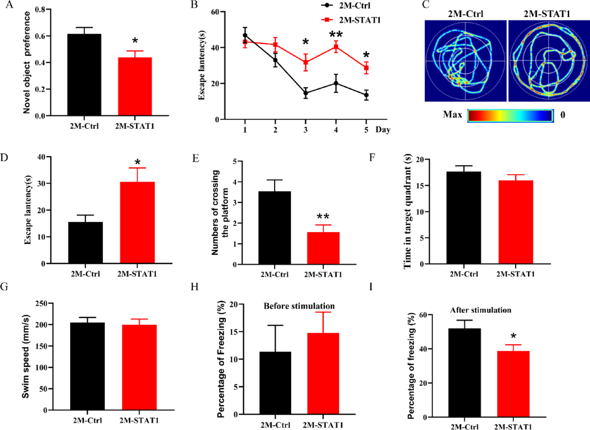 Proteomics revealed the underlying mechanism of STAT1-induced cognitive deficits in 2-month-old C57 mice