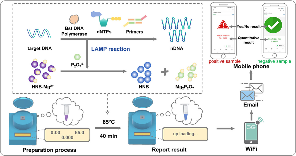 IoT-integrated and portable real-time LAMP platform with hydroxy naphthol blue (HNB) for universal, low-cost pathogen detection in resource-limited settings