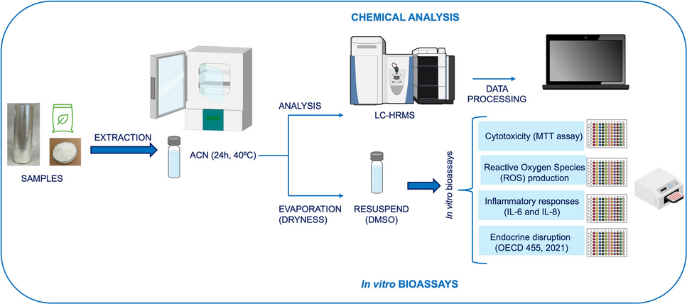 Evaluating the chemical safety of bio-based and biodegradable food packaging materials through non-targeted LC-HRMS analysis and in vitro bioassays