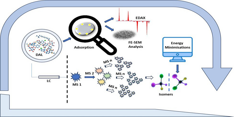 Tailoring isomeric transformations and surface adsorption dynamics of glycopeptides under thermal and photolytic stress