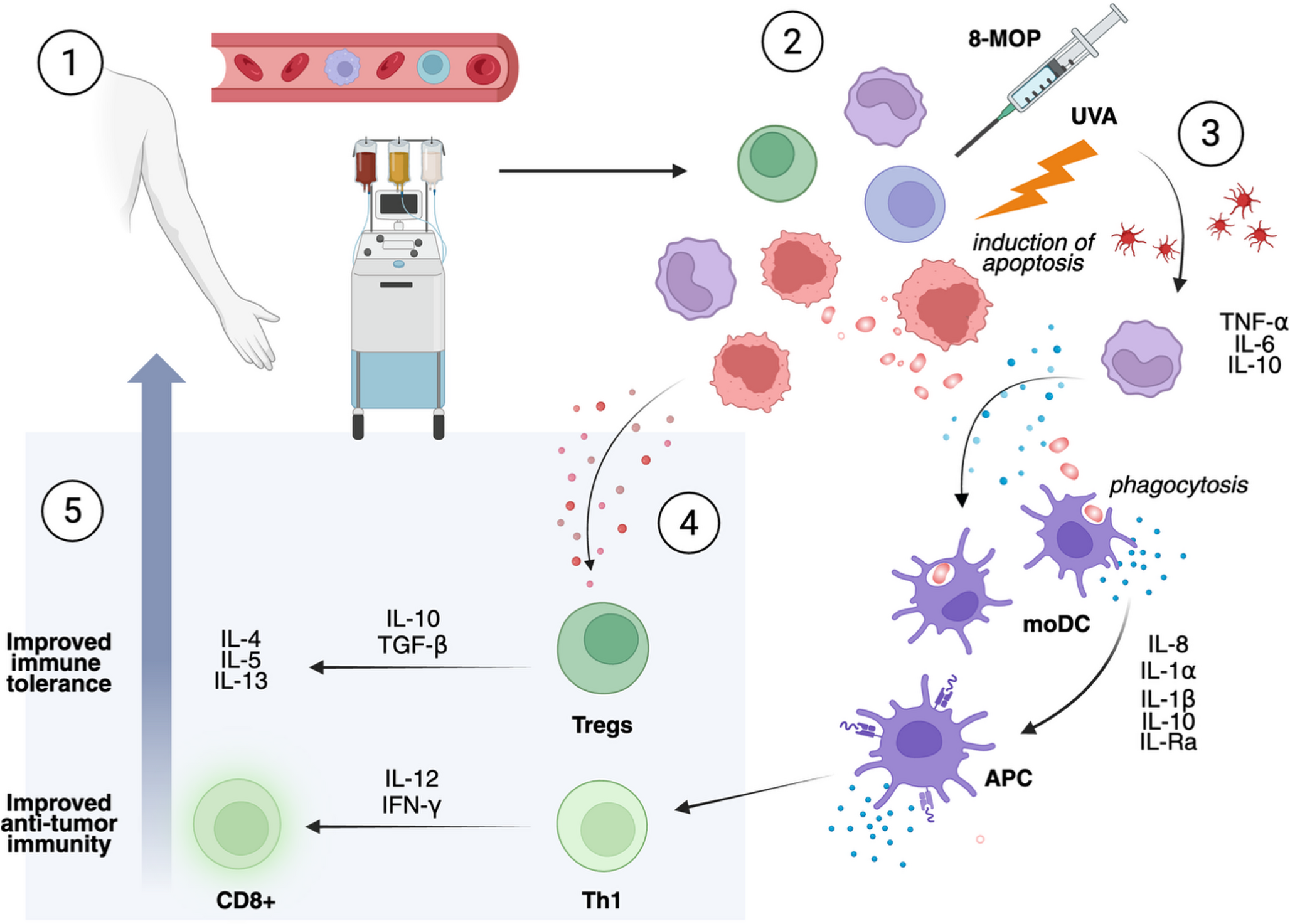 Extracorporeal Photopheresis for the Inpatient Dermatologist