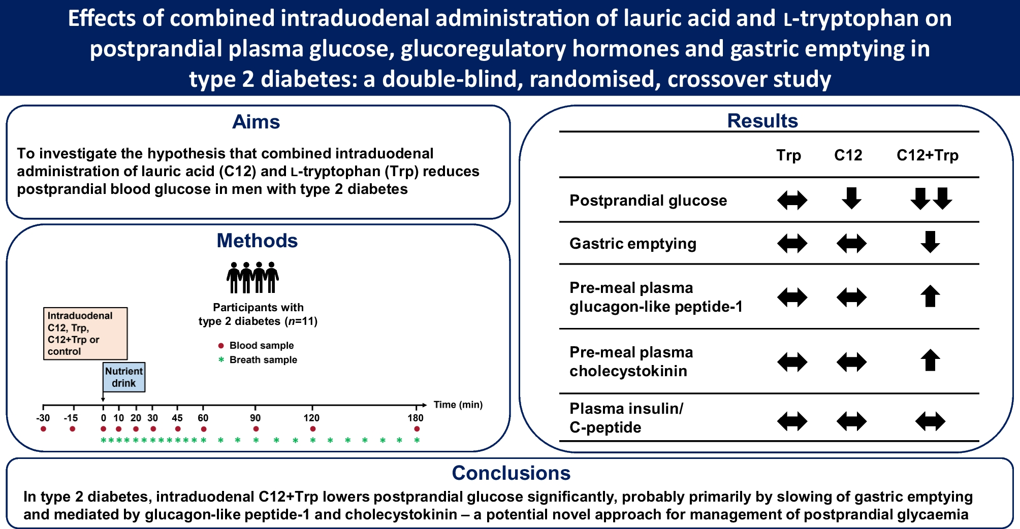 Effects of combined intraduodenal administration of lauric acid and -tryptophan on postprandial plasma glucose, glucoregulatory hormones and gastric emptying in type 2 diabetes: a double-blind, randomised, crossover study