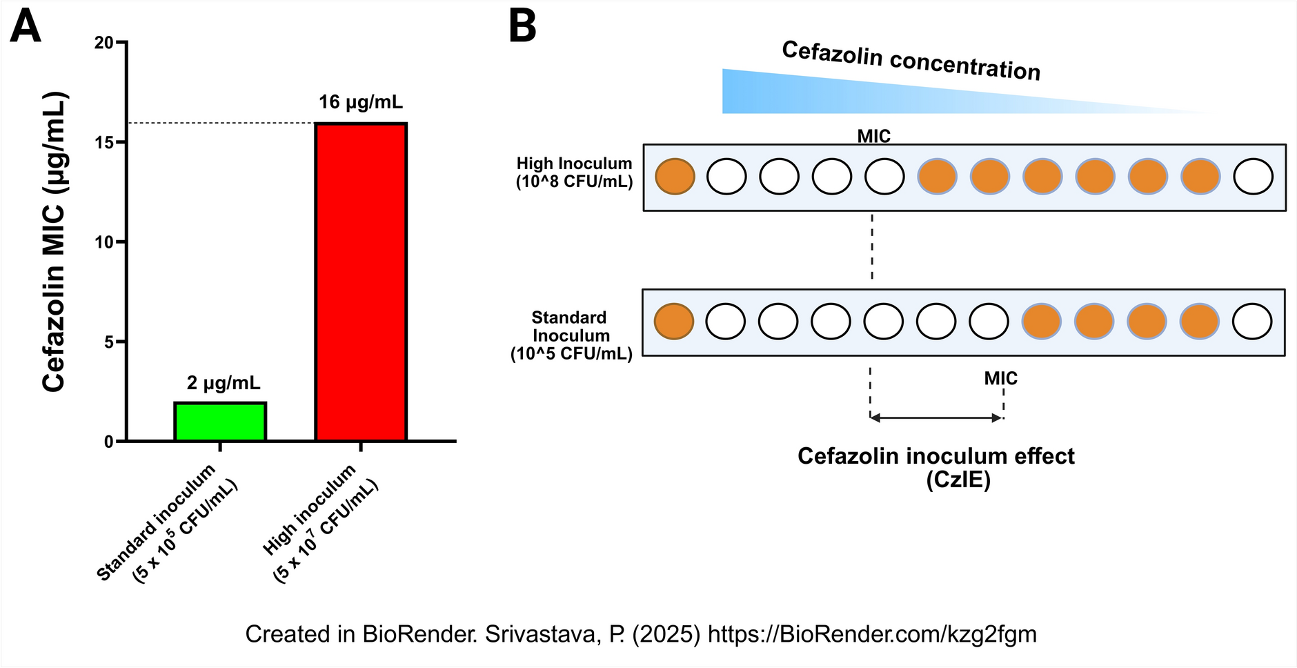 The Cefazolin Inoculum Effect: An Underappreciated Factor in MSSA Treatment Strategies