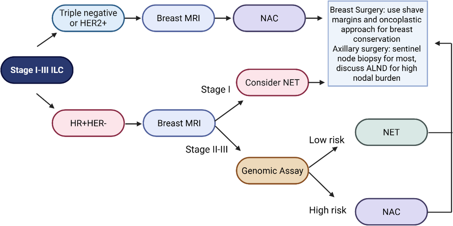 Locoregional Considerations for Invasive Lobular Carcinoma