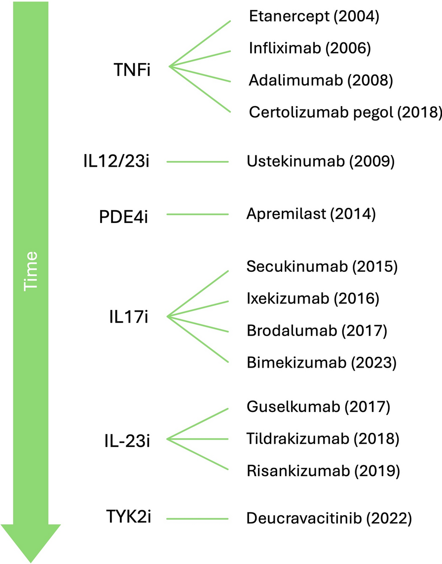 Drug Stratification Based on Real-World Evidence in Psoriasis: A Narrative Review