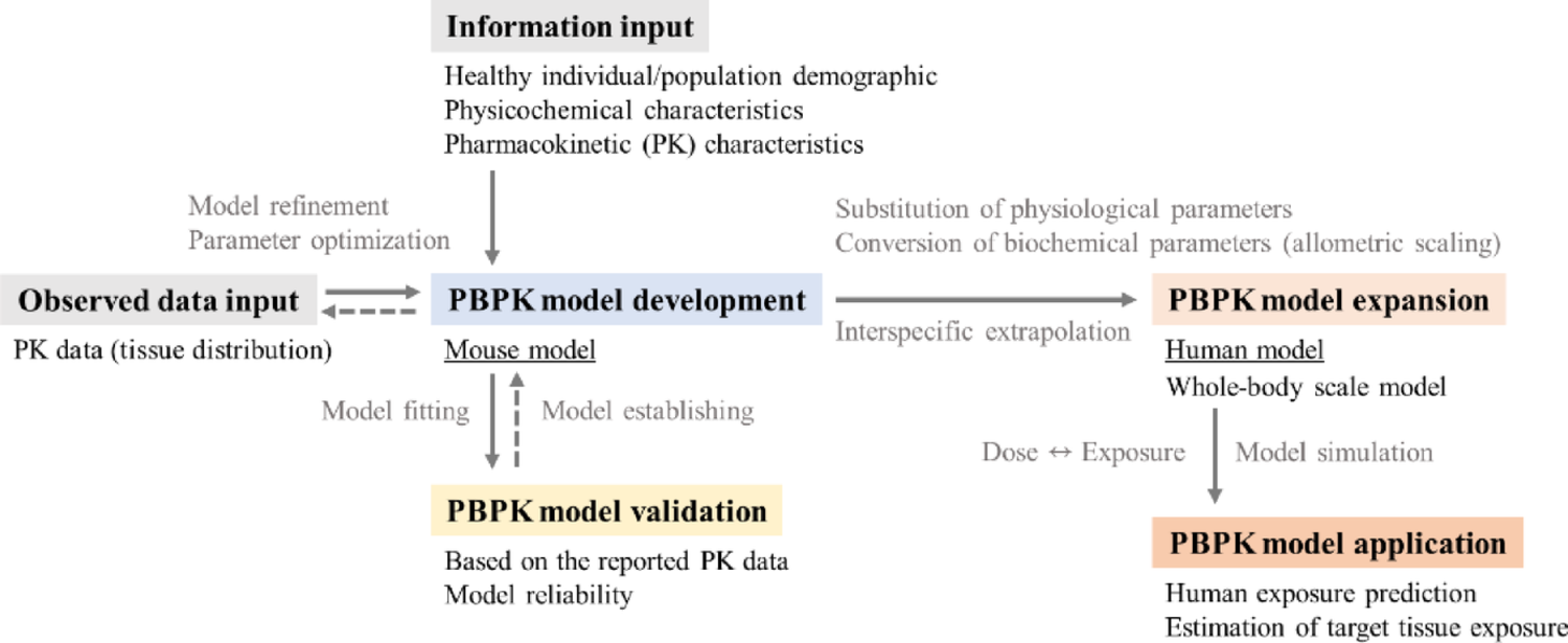 Physiologically based pharmacokinetic modeling of polychlorinated biphenyl-153: cross-species extrapolation and human exposure simulation