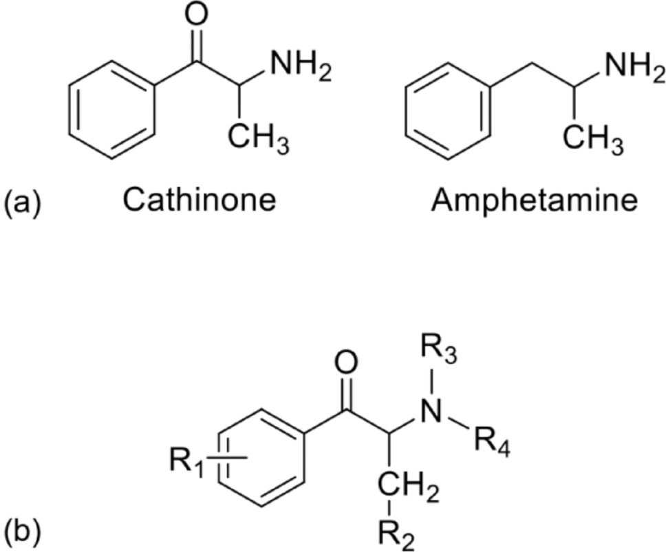 Evaluating the stability of synthetic cathinones in liquid urine and dried urine spots: impact of pH and storage conditions