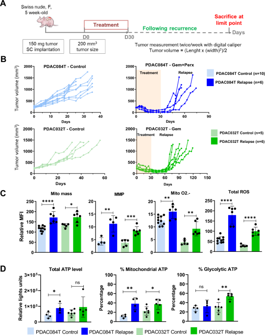 Adaptation of redox metabolism in drug-tolerant persister cells is a vulnerability to prevent relapse in pancreatic cancer