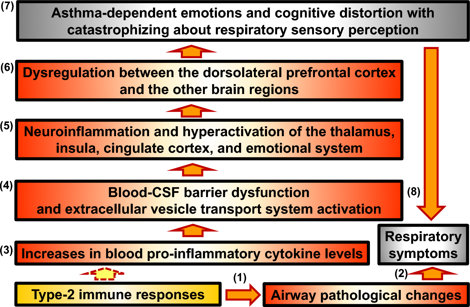 Novel insights into asthma pathophysiology and pharmacological interventions: spiral of respiratory symptoms and psychiatric episodes