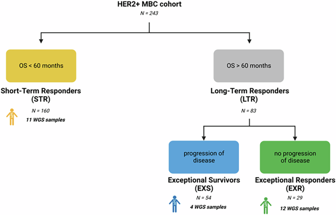 Chromosome centromere copy number amplification associated with exceptional response in HER2-positive metastatic breast cancer patients