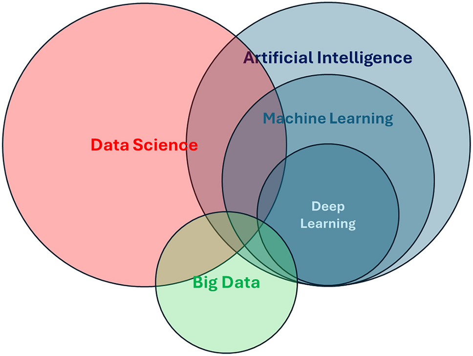 Artificial intelligence in medicine: a position paper by the Italian Society of Internal Medicine