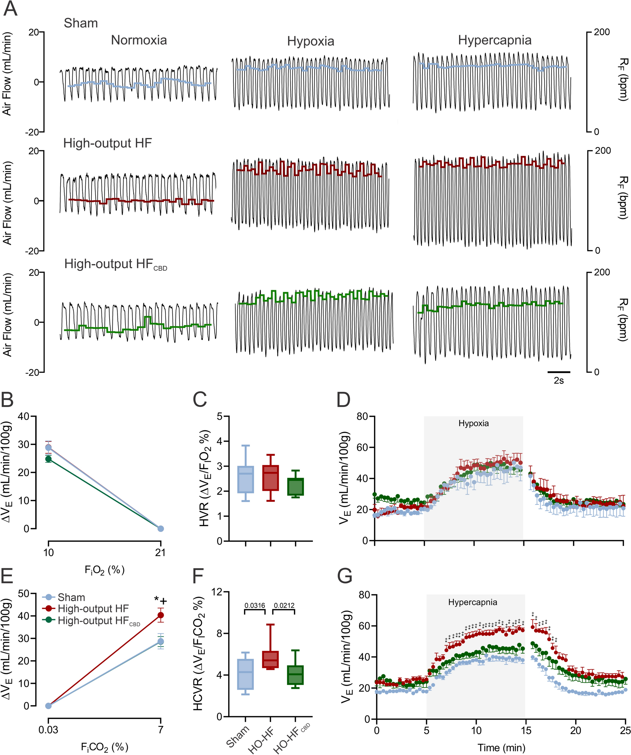 Peripheral chemoreceptors sustain central chemoreflex potentiation and cardiorespiratory abnormalities in high-output heart failure