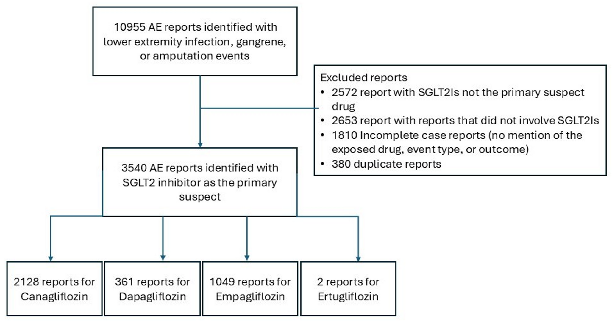 Amputation and gangrene associated with SGLT2 inhibitors: pharmacovigilance analysis of the FDA adverse event reporting system (FAERS) database
