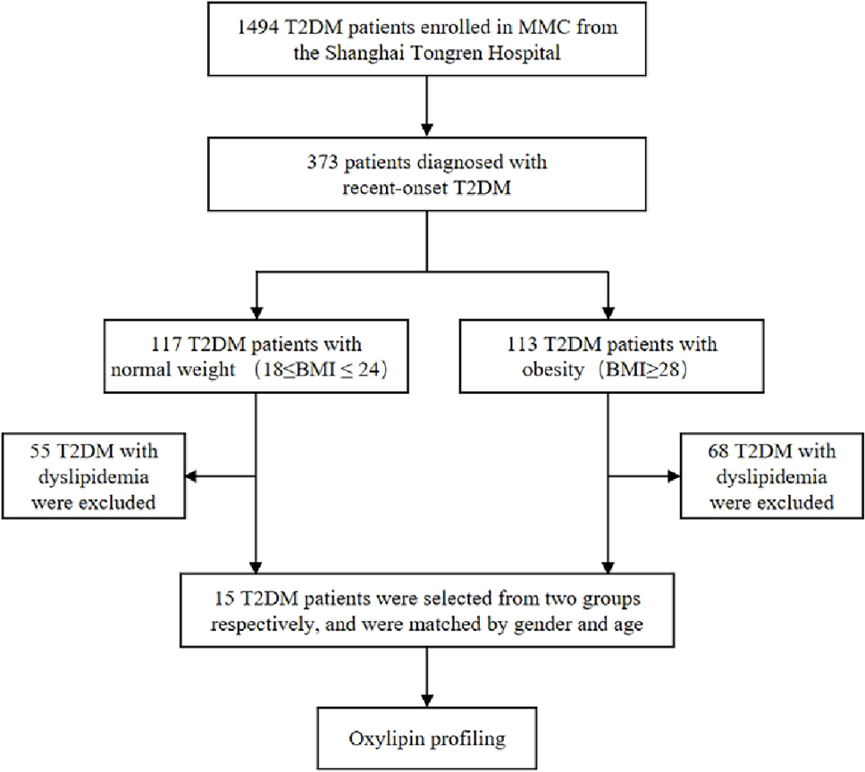 Oxidized metabolites of linoleic acid as biomarkers of pancreatic beta-cell function in the first-onset type 2 diabetic patients with obesity