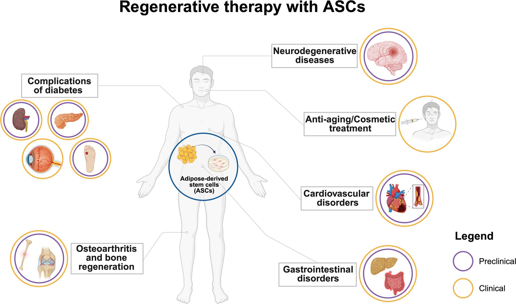 Therapeutic potential of adipose-derived stem cells for noncommunicable diseases