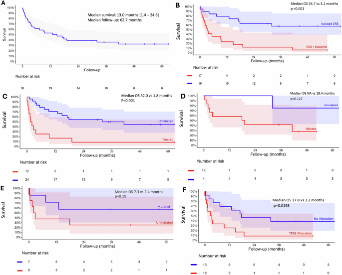 Central nervous system involvement in patients with Richter transformation of chronic lymphocytic leukemia (CLL): the Mayo Clinic experience