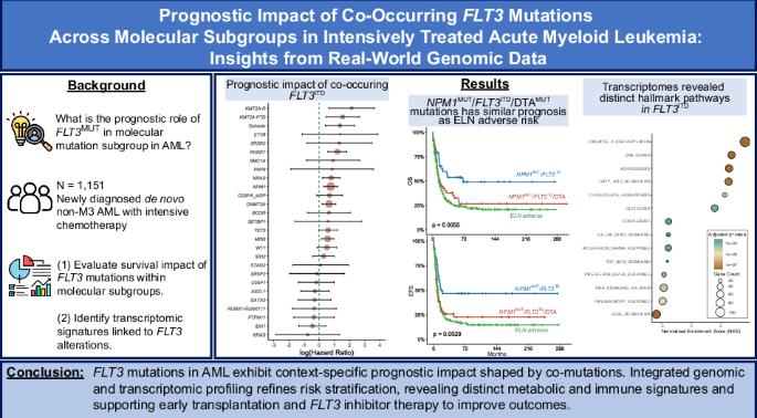 Prognostic impact of co-occurring FLT3 mutations across molecular subgroups in intensively treated acute myeloid leukemia: insights from real-world genomic data