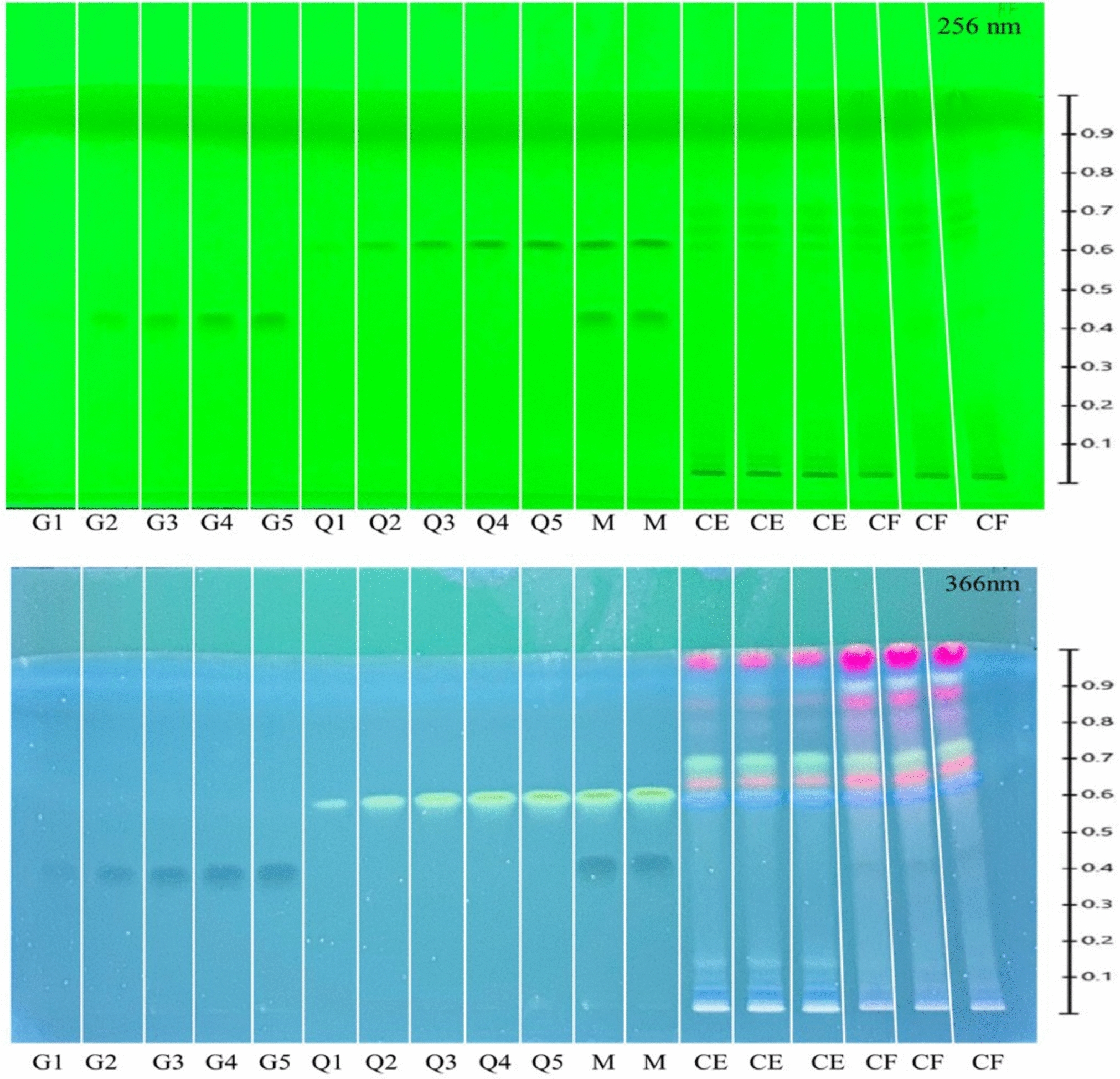 A validated high-performance thin-layer chromatography method for the simultaneous quantification of quercetin and gallic acid in  Roxb. and correlating their content to its  antioxidant activity