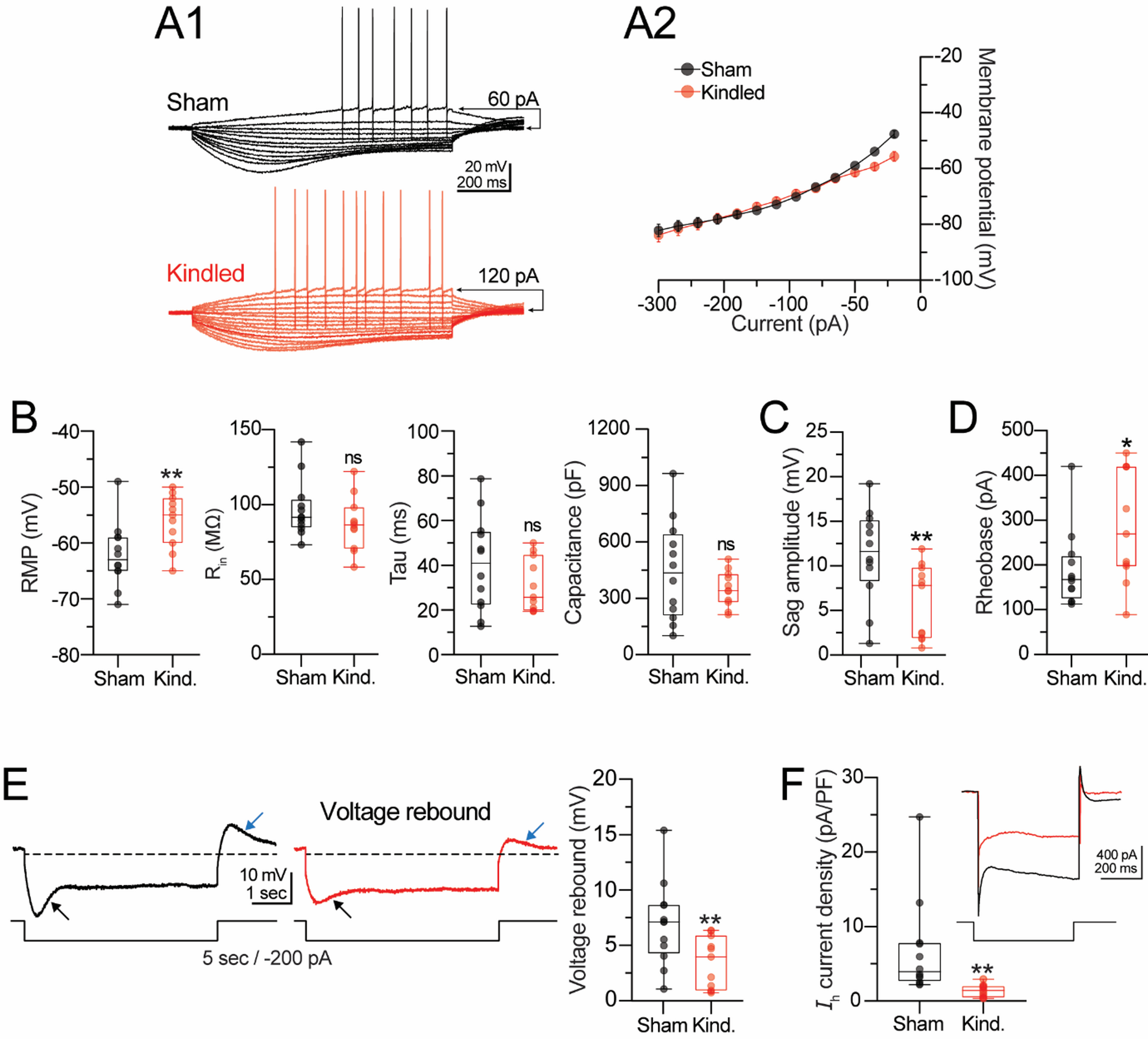 Seizures Reprogram Cerebellar Purkinje Neurons: A Multivariate Electrophysiological Classification Reveals Hidden Subtypes