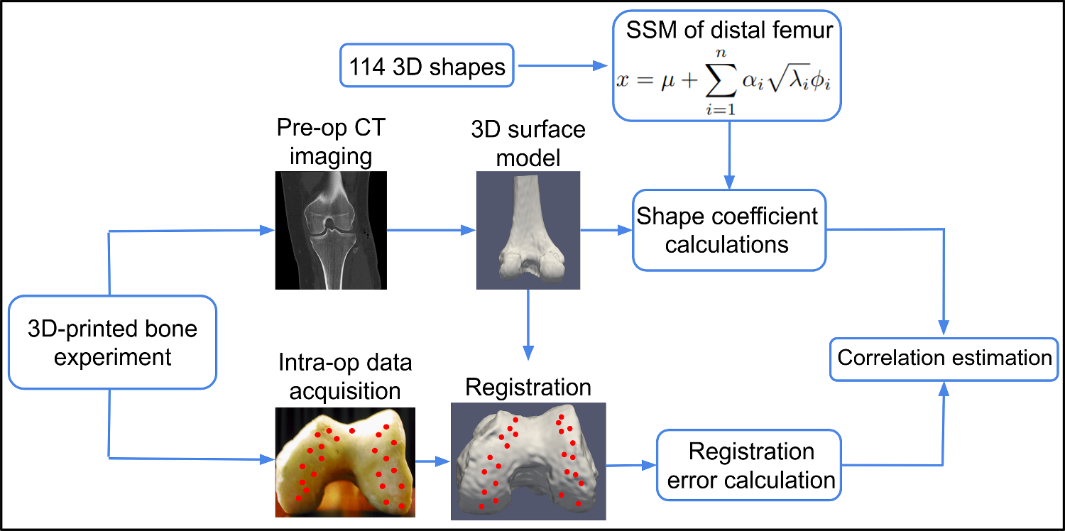 Statistical shape model-based estimation of registration error in computer-assisted total knee arthroplasty