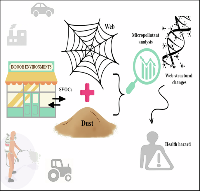 Unravelling airborne complexities: the role of spider webs and indoor dust in assessing human exposure to indoor organic micropollutants