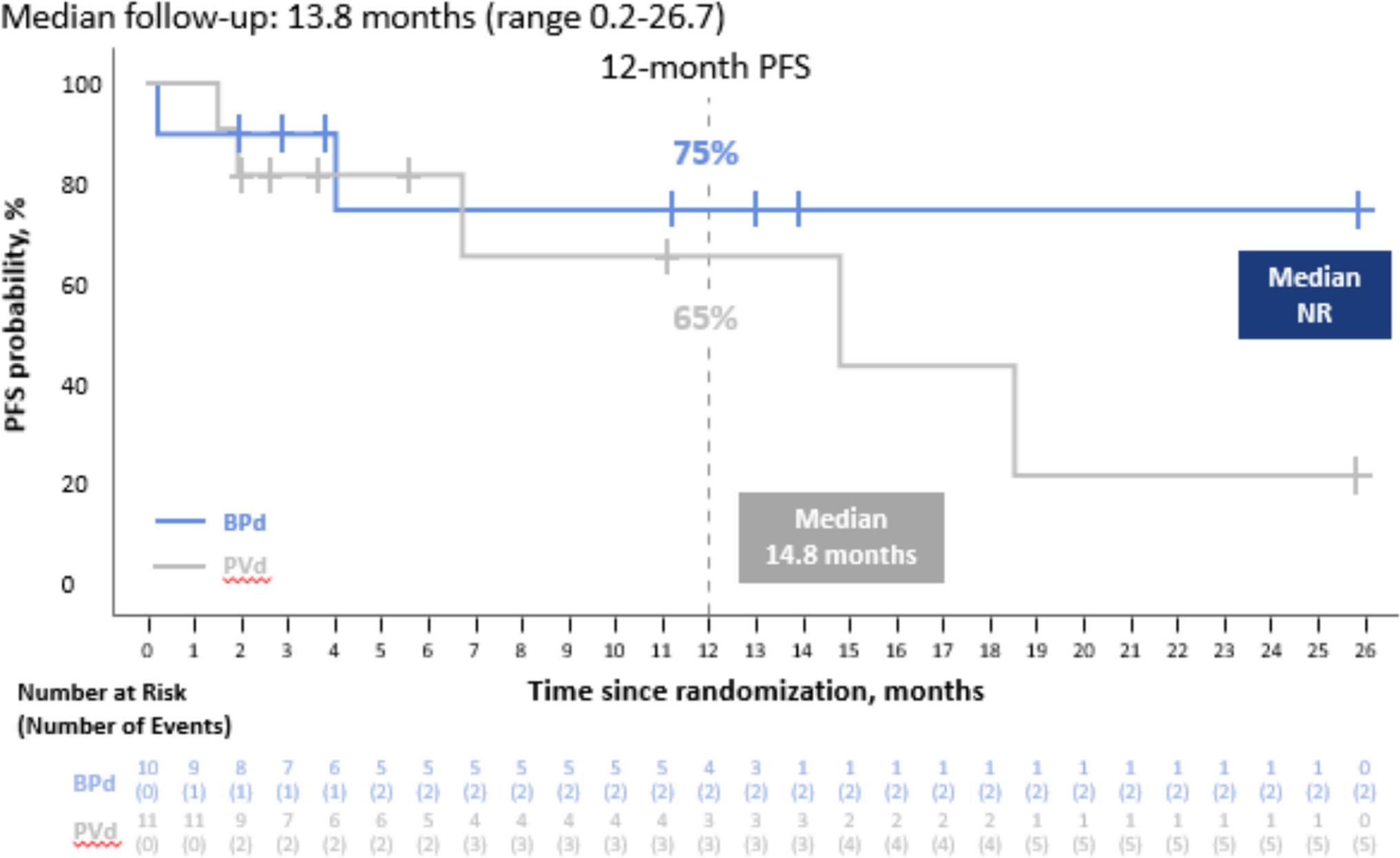 Belantamab mafodotin, pomalidomide, and dexamethasone in Japanese patients with RRMM in the phase 3 DREAMM-8 trial