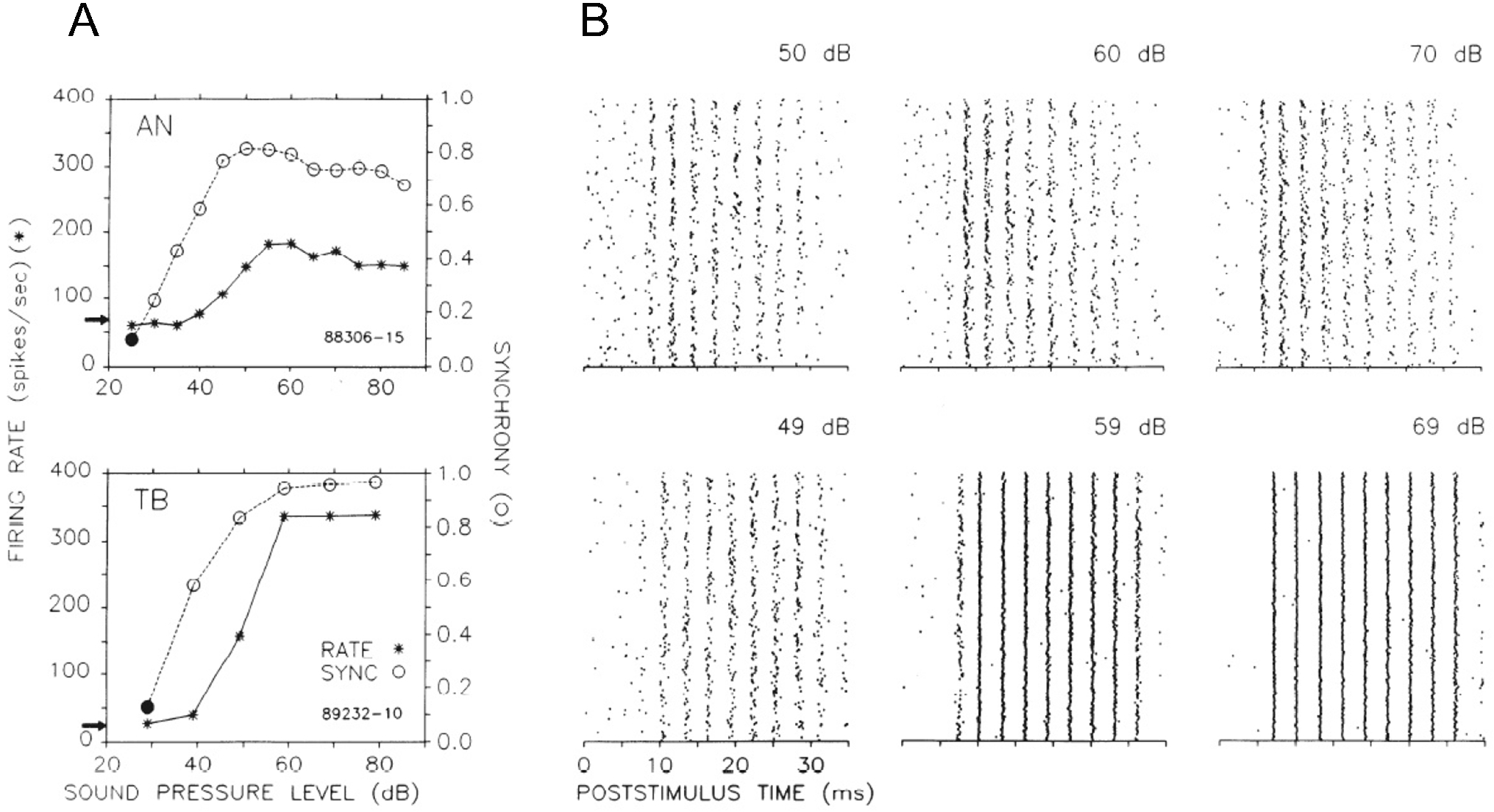 Effects of Gap Junctions and Inhibition on the Synchronization Behavior of a Biophysically Detailed Neural Network Model of Bushy Cells