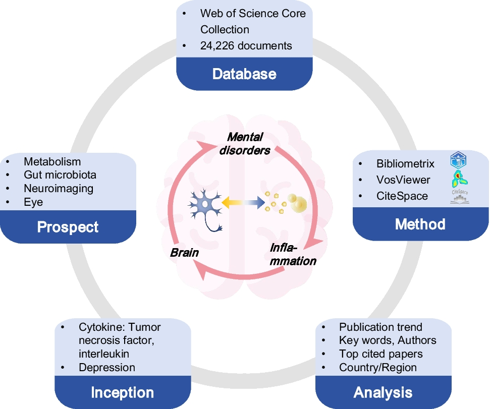Mapping the intricate relationship between mental disorders and inflammation: research trends and pharmacological implications
