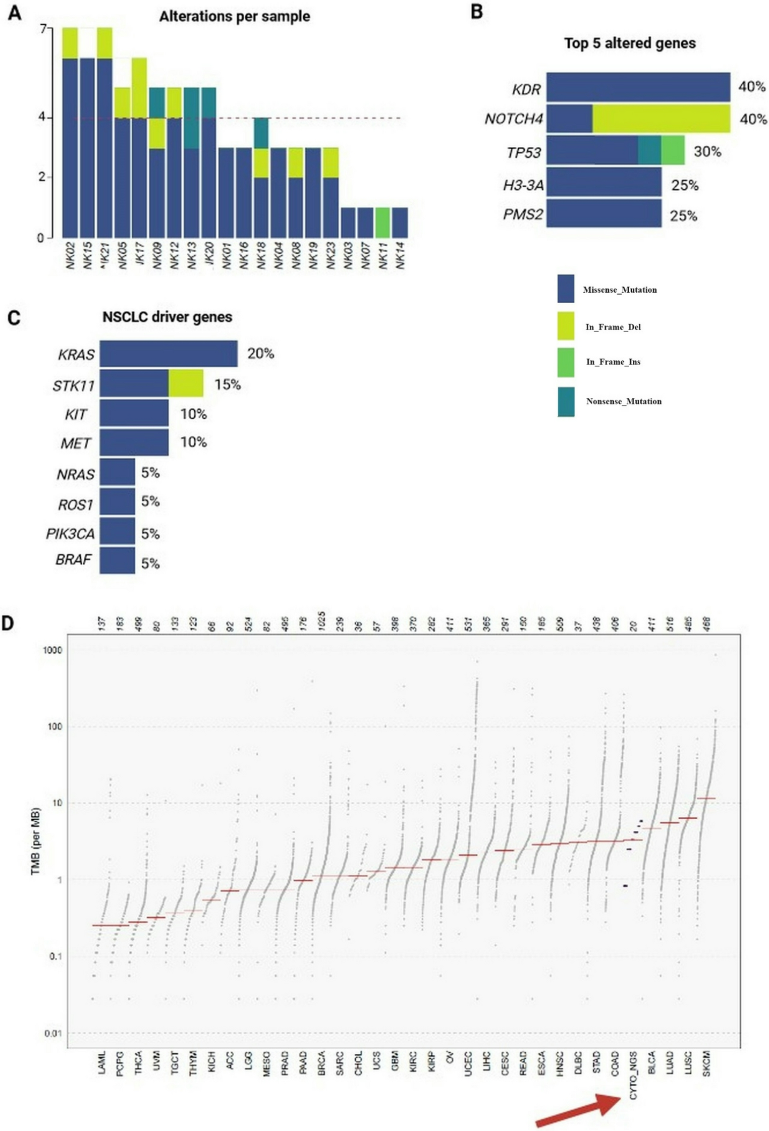 When genetics meets immunology: the assessment of genetic and immunological backgrounds in advanced NSCLC patients treated with immunotherapy – preliminary study