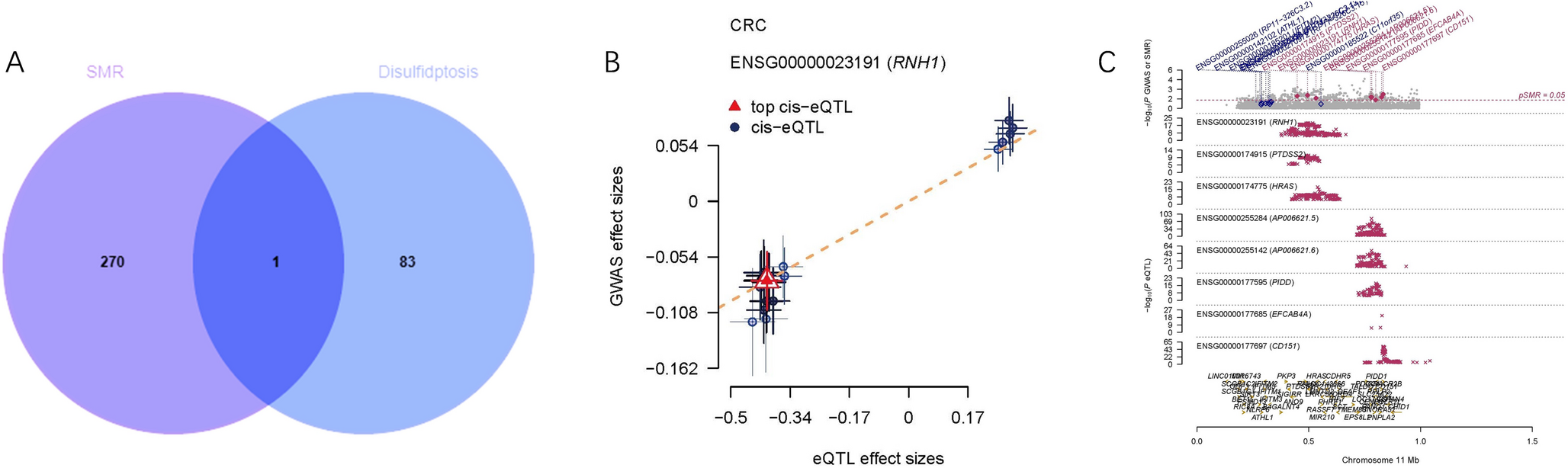 Exploring the pathogenic mechanism of RNH1 in colorectal cancer based on eQTL, Multi-omics and deep learning