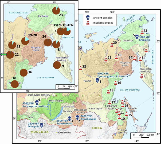 Modern descendants of Kyordyughen warrior (Yakutia, 4200 years before present) in populations of Far East