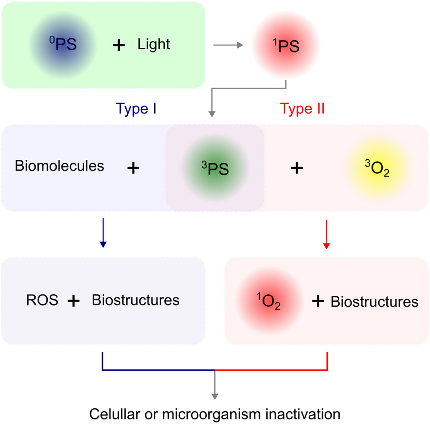 Azure A as a promising candidate for antimicrobial photodynamic therapy of acne-related bacteria