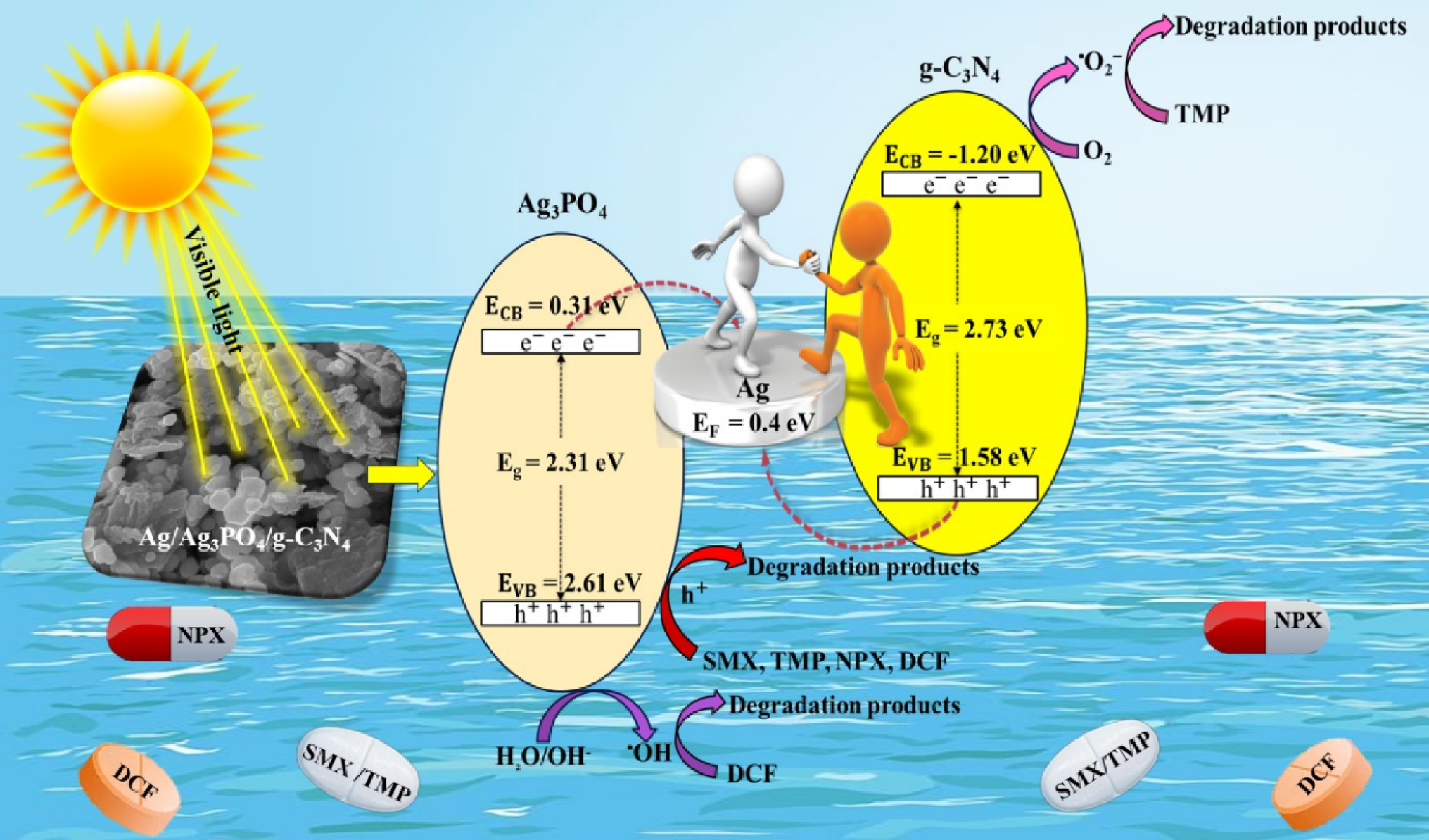 Simultaneous photodegradation of antibiotics and non-steroidal anti-inflammatory drugs in different aquatic environments using Z-scheme Ag/Ag₃PO₄/g-C₃N₄ photocatalyst under simulated sunlight irradiation