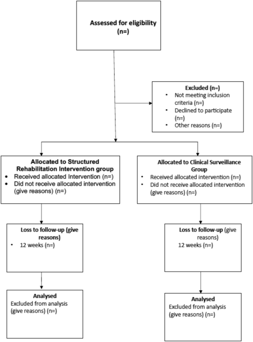 ReMiDY (rehabilitation in mild stable degenerative cervical myelopathy): protocol for feasibility randomized controlled trial