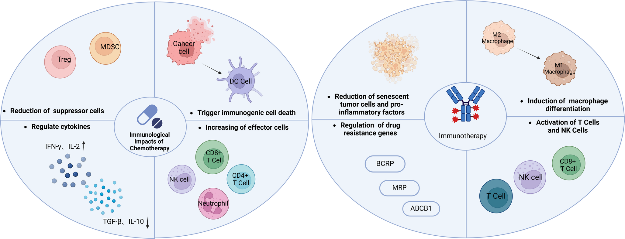 Synergistic interactions and optimal sequencing of chemotherapy and immunotherapy in cancer treatment