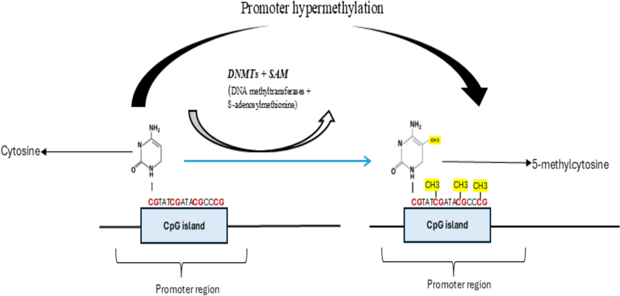 The potential and promise of natural antioxidants as epigenetic modulators in oral squamous cell carcinoma