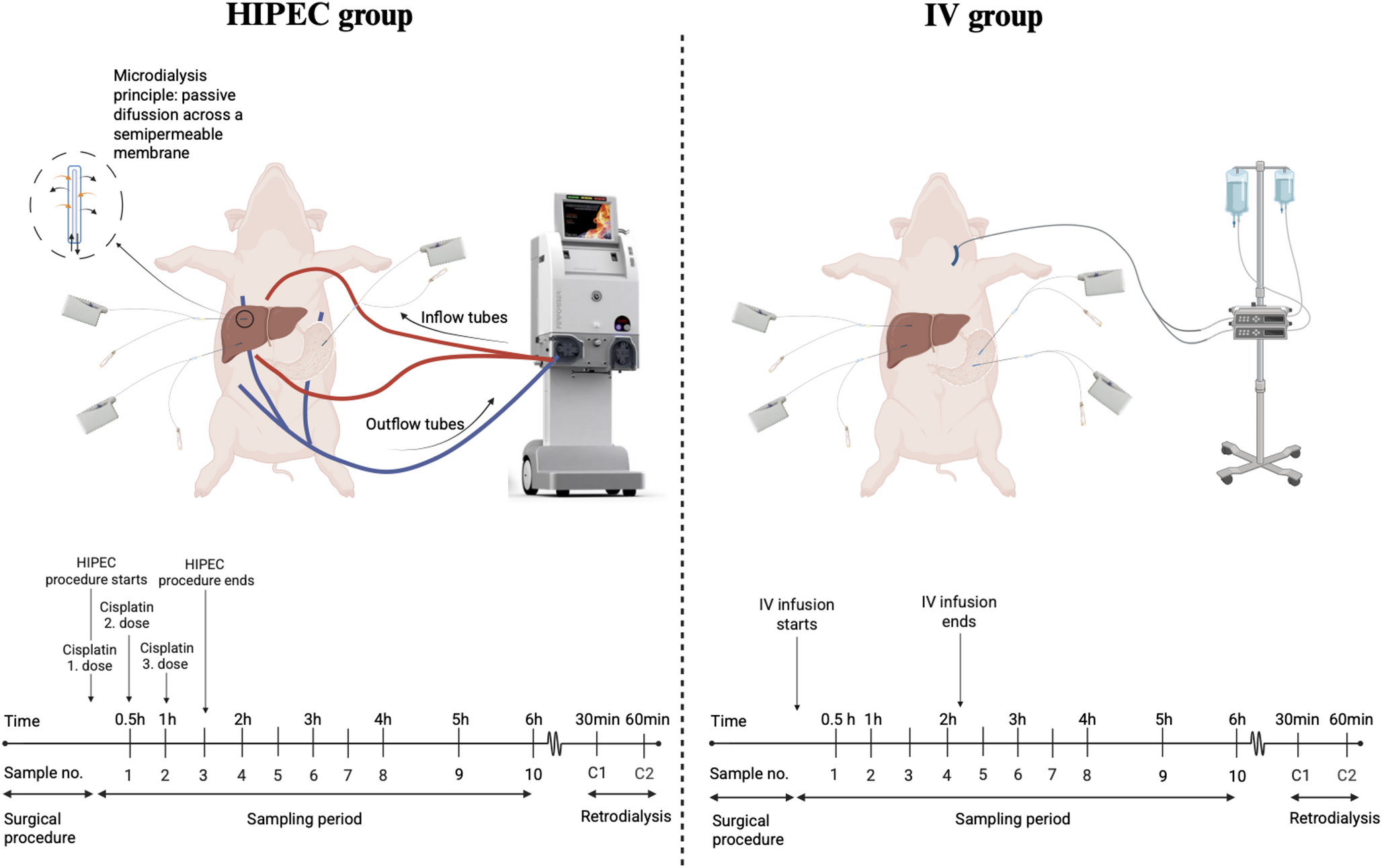Pharmacokinetic comparison of cisplatin administration via HIPEC and intravenous infusion in a porcine model