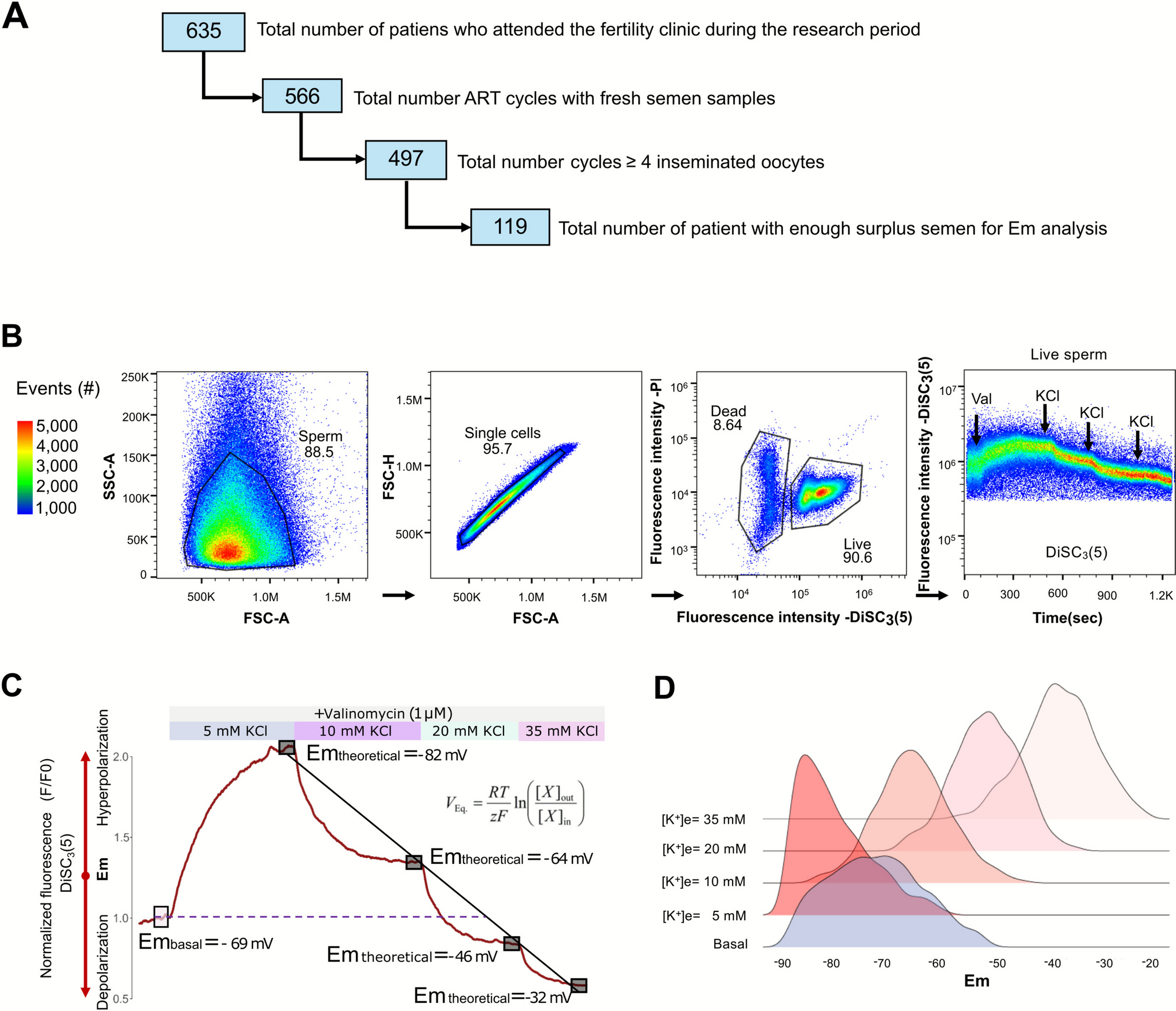 Sperm plasma membrane potential as a marker for fertilization success for non-normozoospermic patients undergoing assisted reproduction technologies
