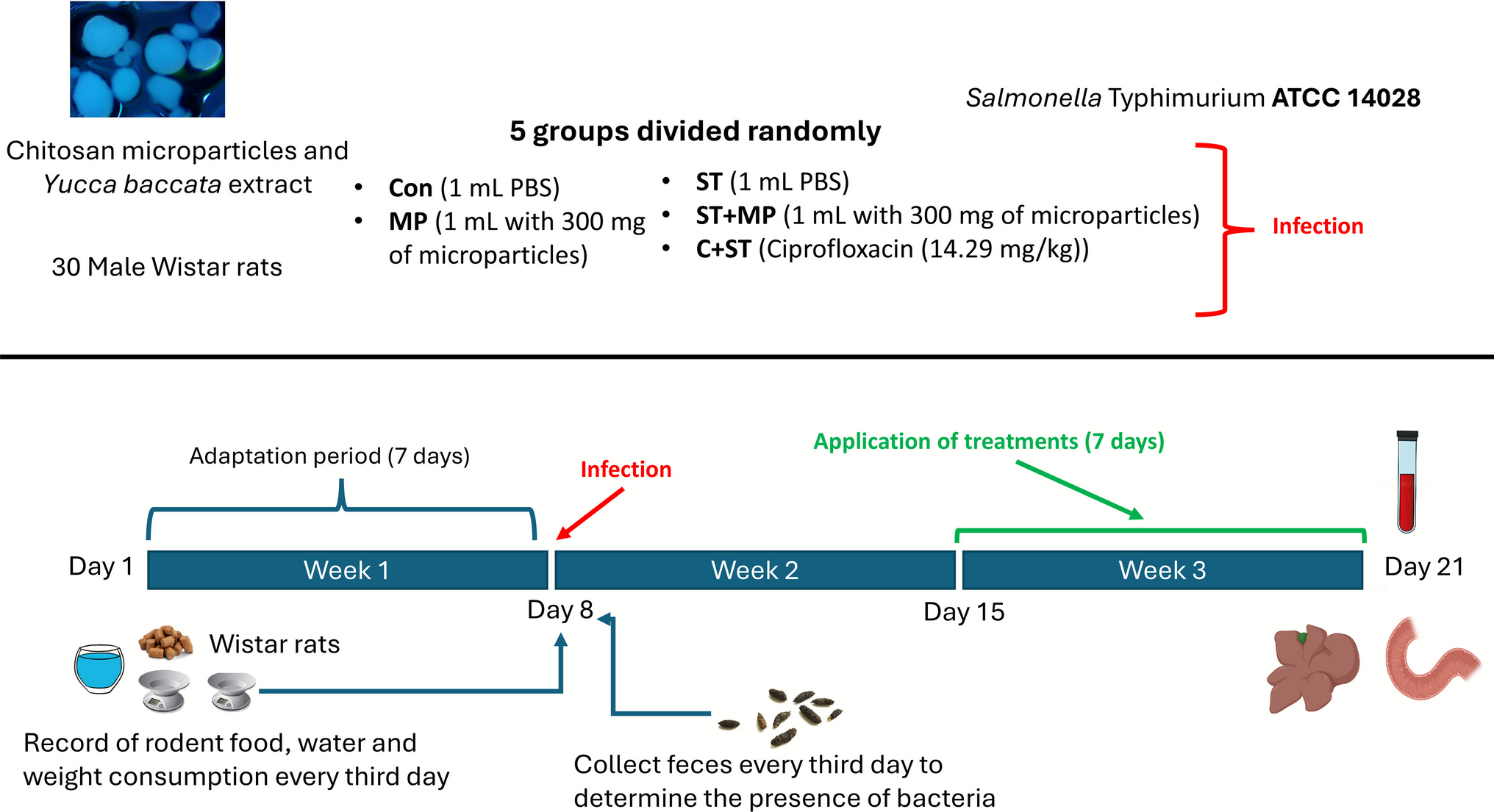 Anti- Properties of Chitosan-Based Microparticles with  Extract