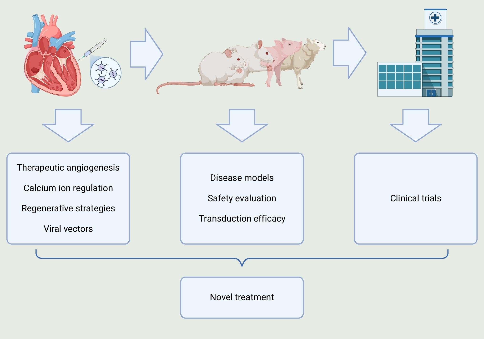 Gene Therapy for Heart Failure